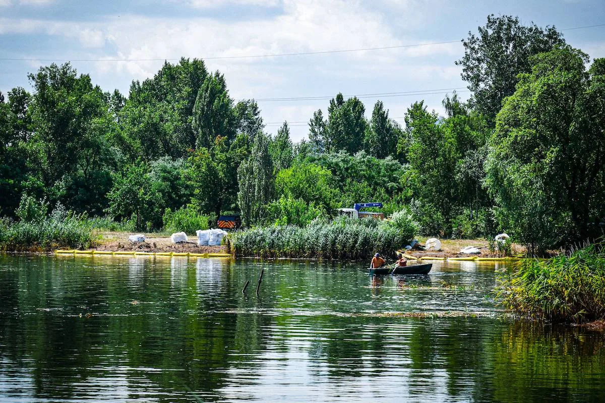 Загибель тварин у Кирилівському озері: як токсична вода вбиває екосистему