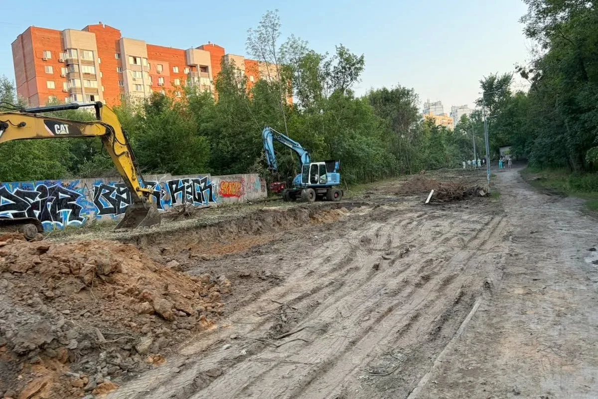 Тепломережа на Теремках: як зберегти 160 дерев у парку